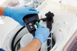 Porträt von Simone Wagner